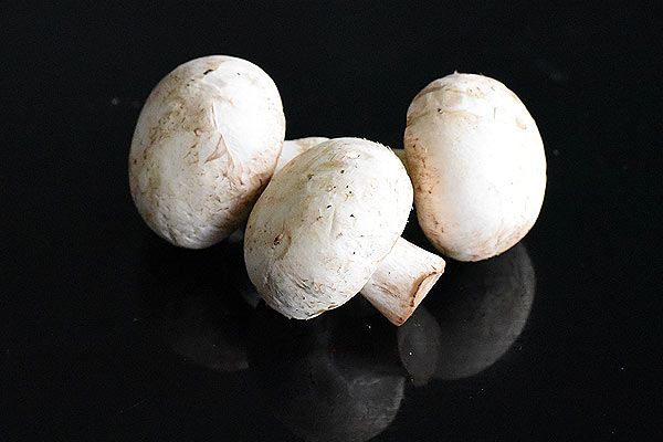 广灵双孢菇