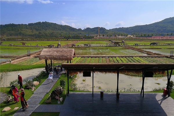 水稻国家公园是三亚市最大的农旅融合主题旅游区